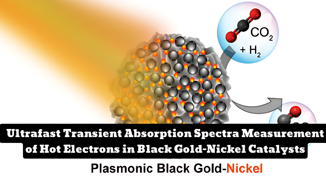 Black gold-nickel catalyst for solar CO2 hydrogenation via hot-electron mechanism: TIFR study