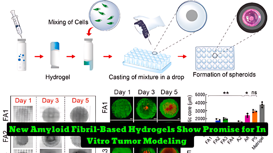 Non-toxic hydrogels by IIT Bombay researchers mimic tumor microenvironment for drug screening