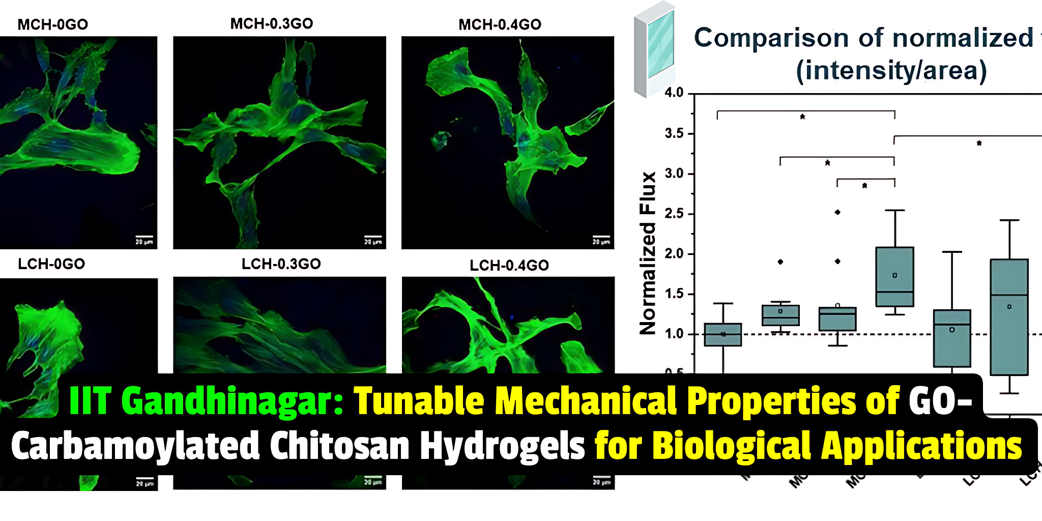 IIT Gandhinagar researchers conduct a new study to investigate the potential of GO-based hydrogels in biological applications