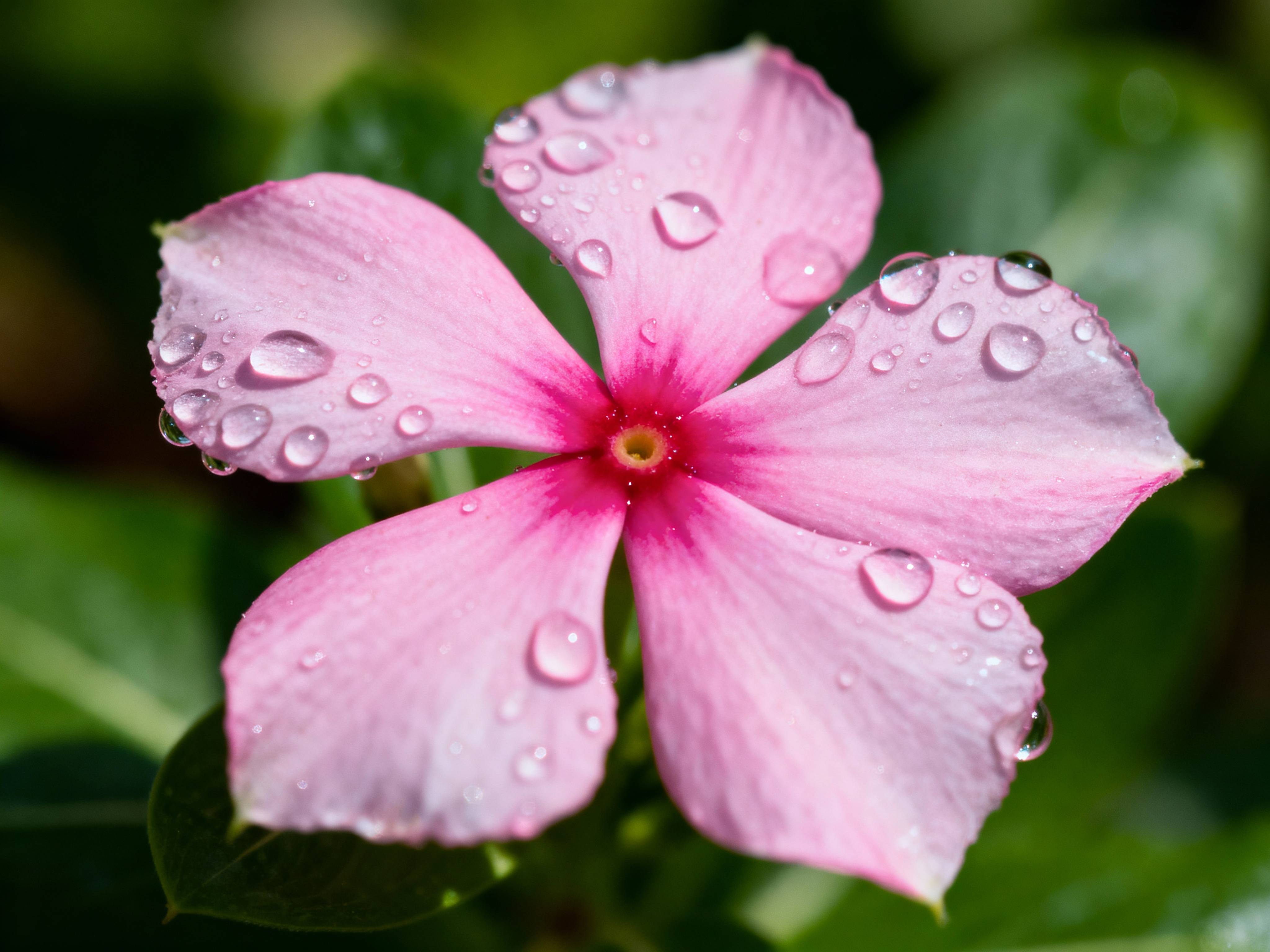 featured-img