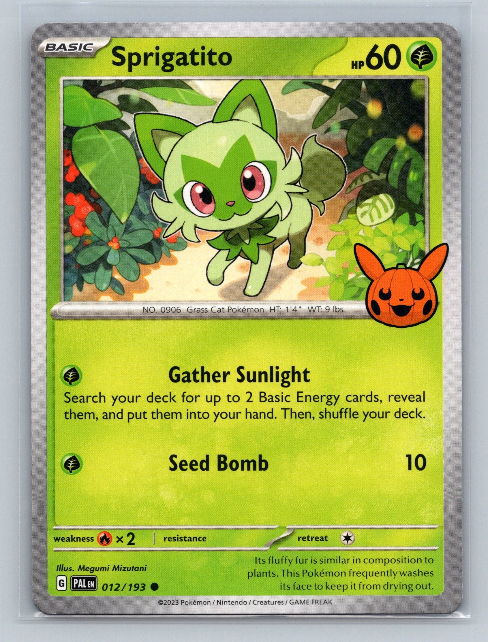 Sprigatito Value & Price Guide — How Much Is Sprigatito Worth? | Card ...