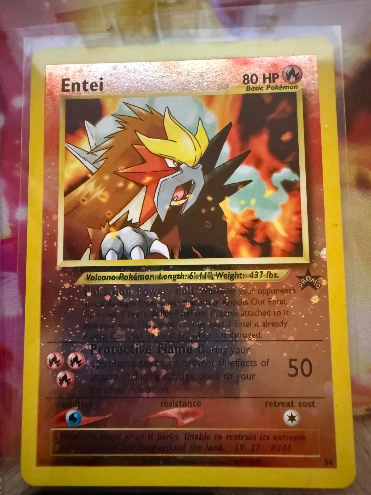 Entei Value & Price Guide — How Much Is Entei Worth? | Card Price King