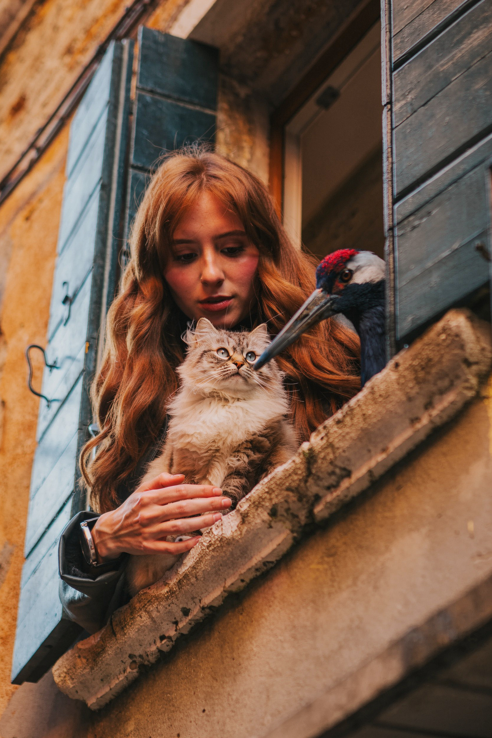 Flux AI Image Example 1